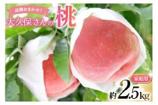 【2026年発送】 桃 もも モモ フルーツ 果物 旬 くだもの 大久保さんの桃 約2.5kg（家庭用） 2.5キロ 山梨県産 産地直送 季節限定 期間限定 新鮮 朝どれ [大久保桃園 山梨県 韮崎市 20745242]