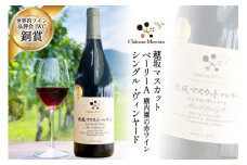 ワイン 赤 フルボディ 赤ワイン 穂坂マスカット・ベーリーA 750ml 1本 山梨ワイン 日本ワイン シングル・ヴィンヤード 栽培責任者 横内栄人 お酒 酒  わいん wine 洋酒 果実酒  飲料 アルコール度 12% 送料無料 [シャトー・メルシャン 勝沼ワイナリー 山梨県 韮崎市 20743133] 