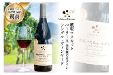 ワイン 赤 フルボディ 赤ワイン 穂坂マスカット・ベーリーA 750ml 1本 山梨ワイン 日本ワイン シングル・ヴィンヤード 栽培責任者 猪股宣夫 お酒 酒  わいん wine 洋酒 果実酒  飲料 アルコール度 12% 送料無料 [シャトー・メルシャン 勝沼ワイナリー 山梨県 韮崎市 20743132] 