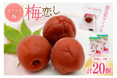 【カリカリ】梅恋し 10個×2袋 [山梨農産食品 山梨県 韮崎市 20743175] 梅干し 梅干 うめぼし 梅 小粒 小梅 カリカリ梅 個包装
