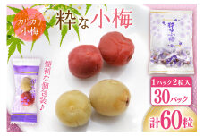 【やばいだろ】粋な小梅 2粒×30 計60粒 [山梨農産食品 山梨県 韮崎市 20743176] 梅干し 梅干 うめぼし 梅 小粒 小梅 カリカリ梅 国産 個包装
