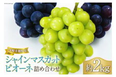 【2025年発送】 ぶどう 先行予約 シャインマスカット & ピオーネ 詰め合わせ 約2kg ぶどう 食べ比べ《2025年9月前半～10月前半出荷》 山梨 やまなし ブドウ 葡萄 2キロ 2種 フルーツ 果物 山梨県産 産地直送 期間限定 季節限定 冷蔵 [フルーツランド平賀 山梨県 韮崎市 20742835]