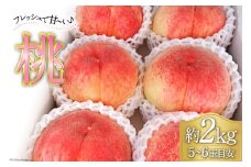【2025年発送】 桃 山梨  5～6玉 約 2kg《7月後半～8月前半出荷》モモ もも 果物 フルーツ 2キロ 山梨県産 産地直送 季節限定 期間限定 冷蔵 [フルーツランド平賀 山梨県 韮崎市 20742841]