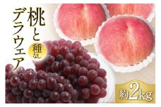 【2025年発送】 桃 3玉 & 種なし デラウェア 5～6房 合計 約 2kg 山梨 《7月後半～8月前半出荷》 もも モモ ぶどう ブドウ 葡萄 果物 フルーツ 2キロ 山梨県産 産地直送 期間限定 季節限定 冷蔵 [フルーツランド平賀 山梨県 韮崎市 20742842]