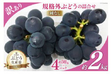 訳あり 山梨県産 種なし ぶどう 500g×4p 約2kg [梨北農業協同組合 山梨県 韮崎市 20743331] ブドウ 葡萄 規格外 家庭用 食べ頃 旬 フルーツ 果物