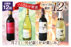 ワイン 定期便 セット 12回 12本 赤ワイン 白ワイン 赤 白 毎月 おまかせ 飲み比べ ソムリエ セレクト 山梨ワイン 日本ワイン マルスセレクト スパークリングワイン 本坊酒造 マルス穂坂ワイナリー 山梨県 韮崎市 [20743307]