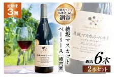 ワイン 定期便 赤 穂坂マスカット・ベーリーA シングル・ヴィンヤード 栽培責任者 横内栄人 750ml 2本 3回 日本ワイン 山梨ワイン 酒 お酒 赤ワイン わいん wine 洋酒 果実酒  飲料 アルコール度 12% 送料無料 [シャトー・メルシャン 勝沼ワイナリー 山梨県 韮崎市 20743324]