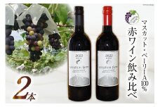 ワイン 赤 樽熟成 2種 各750ml 計2本 1500ml 赤ワイン 飲み比べ セット マスカット・ベーリーA  小さなワイナリー 自社農園ぶどう 熟成 セット わいん wine 洋酒 果実酒 [Creation farm 山梨県 韮崎市 20743122] 