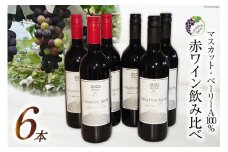 ワイン 赤 樽熟成 2種 各750ml 計6本 赤ワイン 飲み比べ マスカット・ベーリーA [Creation farm 山梨県 韮崎市 20743123]