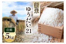 米 令和7年 ゆうだい21 白米 お米 5kg [穂足農園 山梨県 韮崎市 20745225] お米 ご飯 ごはん こめ コメ 美味しい 5キロ