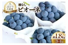 【2025年発送】ぶどう 先行受付  種なし ピオーネ 計 1.8kg程度 3〜4房 山梨 やまなし 1.8キロ 期間限定 季節限定 産地直送 山梨県産ぶどう ブドウ 葡萄 種無し たねなし 果物 くだもの フルーツ[梨北農業協同組合 山梨県 韮崎市 20743013]