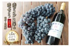 【2025年発送】 ぶどう ワイン 山梨県 穂坂産 赤ワイン 750ml 1本  赤ぶどう ベーリーA 2～3房 酒 ワインぶどう セット 山梨 やまなし フルーツ 果物 葡萄 ブドウ 赤ワイン 山梨県産 産地直送 期間限定 季節限定 冷蔵 [フルーツランド平賀 山梨県 韮崎市 20742839]