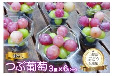 【2025年発送】 ぶどう 先行予約 粒ぶどう 種なし つぶ葡萄 3種 6パック シャインマスカット入 詰め合わせ デザート カップ  フルーツ 果物 葡萄 ブドウ 食べ比べ 詰合せ 山梨県産 産地直送 期間限定 季節限定 冷蔵 [フルーツランド平賀 山梨県 韮崎市 20742840]