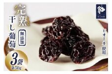 【 無添加 】完熟 干し葡萄 50g×3袋 [フルーツ相山農園 山梨県 韮崎市 20741937] 干しぶどう レーズン ピオーネ 高級 化粧箱
