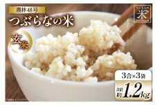 米 令和7年 つぶらなの米 農林48号 玄米 3合×3袋 [つぶらな 山梨県 韮崎市 20741897] 玄米 げんまい お米 こめ コメ おこめ ご飯 ごはん お試し 少量 小分け 山梨県産