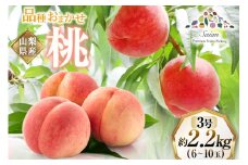 【2025年発送】訳あり 桃 もも 白鳳 or 白桃 3号 約2.2kg (6～10玉)【6月後半から順次発送】 モモ 果物 フルーツ 山梨 期間限定 季節限定 冷蔵 農福連携 レビューキャンペーン [斎庵 山梨県 韮崎市 20742800]