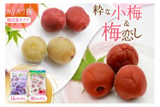 梅干し 粋な小梅 15個 & 梅恋し 10個 [山梨農産食品 山梨県 韮崎市 20743521] 梅干 うめぼし 個包装 食べ比べ 梅 漬物 つけもの おやつ  おつまみ 熱中症予防