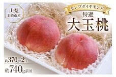 【2026年発送】特選 桃 山梨 詰め合わせ セレブ ダイヤモンド 大玉桃 大玉 一玉 約 370g 2玉 740g 前後 韮崎市産 もも 桃 モモ フルーツ 果物 山梨県産 産地直送 期間限定 季節限定 冷蔵[Inakakara 山梨県 韮崎市 20745252]