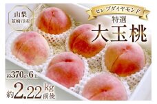 【2026年発送】特選 桃 山梨 詰め合わせ セレブ ダイヤモンド 大玉桃 大玉 一玉約 370g 6玉 2.22kg 前後 韮崎市産 もも モモ フルーツ 果物 山梨県産 産地直送 期間限定 季節限定 冷蔵[Inakakara 山梨県 韮崎市 20745254]