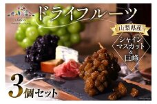 山梨県産 ドライフルーツ ぶどう房付 巨峰 50g×1とシャインマスカット 50g×2 計3個 [斎庵 山梨県 韮崎市 20742756] 干しぶどう 干しブドウ ほしぶどう レーズン ぶどう ブドウ 葡萄 詰め合わせ セット マスカット フルーツ 果物 果実 自宅用 パーティ 山梨 国産 ドライ 