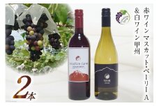 ワイン 赤 赤ワイン マスカット・ベーリーA 白ワイン 甲州 各750ml 計2本 1500ml 山梨ワイン 果実酒 飲み比べ ワインセット ぶどう ブドウ マスカット 山梨 国産 酒 パーティー 赤白飲み比べ セット 小さなワイナリー 自社農園 ぶどう [Creation farm 山梨県 韮崎市 20743663]