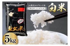 米 梨北米 農林48号 5kg [梨北農業協同組合 山梨県 韮崎市 20743665] お米 おこめ こめ コメ 精米 5キロ ご飯 ごはん 白米 国産 JA梨北