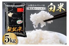 米 梨北米 コシヒカリ 5kg [梨北農業協同組合 山梨県 韮崎市 20743511] こしひかり お米 おこめ こめ コメ 精米 5キロ ご飯 ごはん 白米 国産 JA梨北