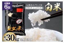 【定期便】【6回 米 定期便 】梨北米 農林48号 5kg×6回 総計30kg [梨北農業協同組合 山梨県 韮崎市 20743669] お米 おこめ こめ コメ 精米 30キロ ご飯 ごはん 白米 国産 JA梨北