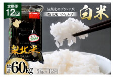 【定期便】【12回 米 定期便 】 武川米 コシヒカリ 5kg×12回 総計60kg [梨北農業協同組合 山梨県 韮崎市 20743673] こしひかり お米 おこめ こめ コメ 精米 60キロ ご飯 ごはん 白米 国産 JA梨北