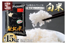 【定期便】【3回 米 定期便 】 梨北米 コシヒカリ 5kg×3回 総計15kg [梨北農業協同組合 山梨県 韮崎市 20742739] こしひかり お米 おこめ こめ コメ 精米 15キロ ご飯 ごはん 白米 国産 JA梨北