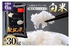 【定期便】【6回 米 定期便 】 梨北米 コシヒカリ 5kg×6回 総計30kg [梨北農業協同組合 山梨県 韮崎市 20742740] こしひかり お米 おこめ こめ コメ 精米 30キロ ご飯 ごはん 白米 国産 JA梨北