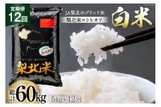 米 【定期便 12回 】梨北米 コシヒカリ 5kg 12回 総計 60kg こしひかり コシヒカリ お米 おこめ こめ コメ 精米 61キロ ご飯 ごはん 白米 お弁当 国産 JA 梨北 山梨 [梨北農業協同組合 山梨県 韮崎市 20743674] 