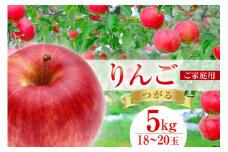 【2025年発送】 【 数量限定 訳あり 】 家庭用 りんご つがる 5kg 18～20玉 [長坂りんご園 山梨県 韮崎市 20743083] 果物 フルーツ くだもの 果実 デザート リンゴ 林檎 5キロ わけあり 旬 山梨 山梨県産 期間限定 季節限定