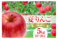 【2025年発送】 【 数量限定 】 夏 りんご つがる 5kg 18～20玉 [長坂りんご園 山梨県 韮崎市 20743084] 果物 フルーツ くだもの 果実 デザート リンゴ 林檎 5キロ 旬 山梨 山梨県産 期間限定 季節限定