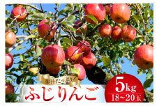 【2025年発送】 【 数量限定 】 りんご ふじ 約5kg (18～20玉) [長坂りんご園 山梨県 韮崎市 20743085] 果物 フルーツ くだもの 果実 デザート リンゴ 林檎 5キロ 旬 山梨 山梨県産 期間限定 季節限定