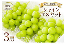 【2025年発送】ぶどう シャインマスカット 2025 予約 約 550g 3房 計約 1.6kg 山梨 韮崎市産  フルーツ 果物 ブドウ 葡萄  山梨県産 産地直送 期間限定 季節限定 冷蔵[Inakakara 山梨県 韮崎市 20743494]
