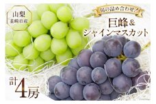 【2025年発送】ぶどう 先行受付 2種 詰め合わせ 食べ比べ 〈巨峰 約 450g 2房 と シャインマスカット 約 500g 2房 計 4房 約 1.9kg〉 山梨 やまなし 韮崎市産  フルーツ 果物 ブドウ 葡萄 シャイン 食べ比べ 山梨県産 産地直送 期間限定 季節限定 冷蔵 [Inakakara 山梨県 韮崎市 20743500]