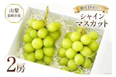 【2025年発送】ぶどう  シャインマスカット 2025 予約 約 550g 2房  計約 1.1kg 山梨 韮崎市産 フルーツ 果物 ブドウ 葡萄  山梨県産 産地直送 期間限定 季節限定 冷蔵 [Inakakara 山梨県 韮崎市 20743493]