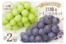 【2025年発送】ぶどう 先行予約  2種 詰め合わせ  食べ比べ 〈巨峰 約450g 1房 と シャインマスカット 約 500g 1房  計 2房 約 950g〉 山梨 やまなし 韮崎市産 フルーツ 果物 ブドウ 葡萄 シャイン マスカット 山梨県産 産地直送 期間限定 季節限定 冷蔵 [Inakakara 山梨県 韮崎市 20743499]