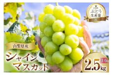 【2025年発送】 シャインマスカット 2025 予約 山梨 マスカット シャイン ブドウ ぶどう 葡萄 種無し 2.5kg  3～ 6房  朝採れ 朝どれ 山梨県産 フルーツ 果物 2.5キロ 高品質 厳選 産地直送 季節限定 数量限定 期間限定発送 [OUTTA REACH JAPAN 山梨県 韮崎市 20742861]