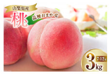 【2025年発送】 桃 山梨 3kg (7～12玉) アソート もも モモ 3キロ フルーツ 果物 くだもの 人気 旬 山梨県産 産地直送 季節限定 数量限定 期間限定発送 贈答 ジューシー なつっこ 日川白鳳 白鳳 浅間白桃 [OUTTA REACH JAPAN 山梨県 韮崎市 20742863］