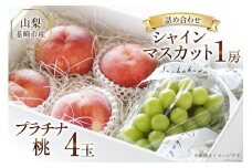 【2025年発送】桃 シャインマスカット 山梨 フルーツ 2種 詰め合わせ 〈セレブプラチナ桃 4玉 1.4kg と シャインマスカット 1房 500g 〉韮崎市産  もも モモ ぶどう ブドウ 葡萄 フルーツ 果物 セット 山梨県産 産地直送 期間限定 季節限定 冷蔵 [Inakakara 山梨県 韮崎市 20743491]