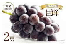 【2025年発送】ぶどう 先行受付 巨峰 約 450g 2房 計約 900g 山梨 やまなし 韮崎市産フルーツ 果物 ブドウ 葡萄  山梨県産 産地直送 期間限定 季節限定 冷蔵  [Inakakara 山梨県 韮崎市 20743501]