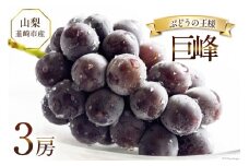 【2025年発送】ぶどう 先行受付 巨峰 約 450g 3房 計約 1.35kg 山梨 山梨 韮崎市産 フルーツ 果物 ブドウ 葡萄  山梨県産 産地直送 期間限定 季節限定 冷蔵 [Inakakara 山梨県 韮崎市 20743502]