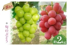 【2025年発送】 ぶどう 訳あり 旬のぶどう 詰め合わせ 2kg  家庭用 山梨 やまなし フルーツ 果物 くだもの ブドウ 葡萄 2キロ 食べ比べ 山梨県産 数量限定 期間限定 冷蔵 [みのり農園 山梨県 韮崎市 20742853]