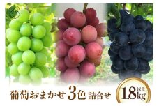 【2025年発送】 葡萄おまかせ 3色 詰合せ 1.8kg以上 【シャインマスカット1房、赤系葡萄1房、黒系葡萄1房】 ぶどう ブドウ 葡萄 セット 詰め合わせ 果物 フルーツ シャインマスカット 期間限定 季節限定 数量限定 [のすけ農園 山梨県 韮崎市 20742919]