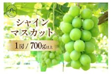 【2025年発送】【胸キュンをお届け】シャインマスカット1房 700g以上 マスカット シャインマスカット 果物 フルーツ 葡萄 ぶどう ブドウ シャイン 山梨 期間限定 季節限定 数量限定 [のすけ農園 山梨県 韮崎市 20742917]