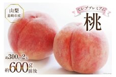 【お中元】【先行受付】 桃 韮崎市産 特選 詰め合わせ セレブプレミアム桃 約300g×2 [Inakakara 山梨県 韮崎市 20743680] もも モモ フルーツ 果物 山梨県産 期間限定 季節限定