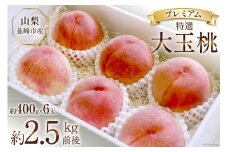 【お中元】韮崎市産 特選 桃の詰め合わせ セレブダイヤモンド桃 大玉桃 約400g×6 [Inakakara 山梨県 韮崎市 20743682] もも 桃 モモ フルーツ 果物 山梨県産 期間限定 季節限定