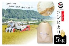 【お中元】米 令和5年 つぶら野米 コシヒカリ 白米 5kg [つぶら野米 山梨県 韮崎市 20743687] こめ コメ お米 精米 こしひかり